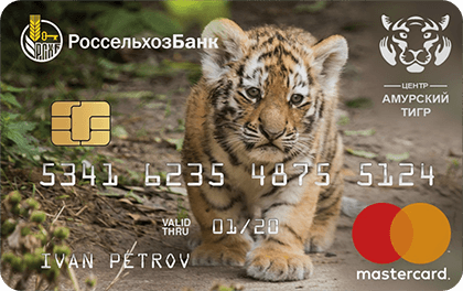 Амурский тигр Россельхозбанк
